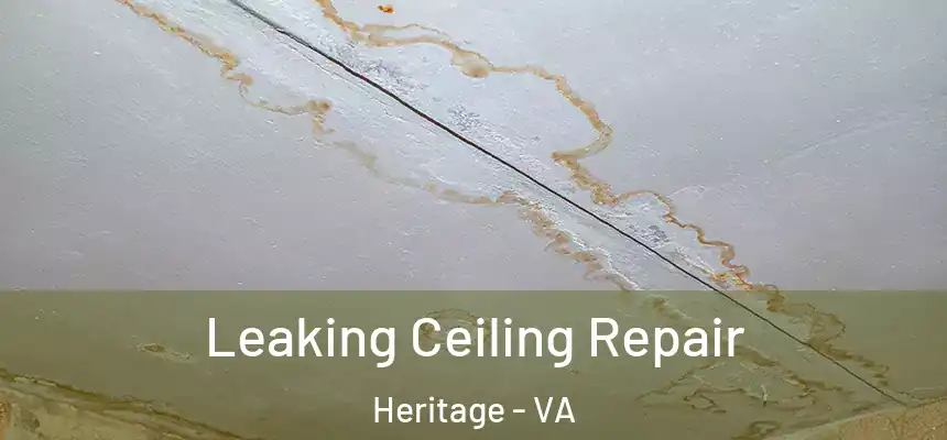 Leaking Ceiling Repair Heritage - VA
