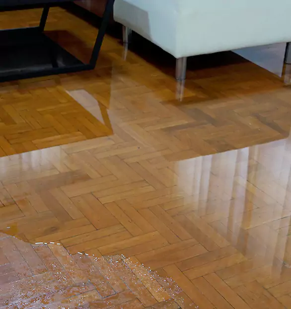 Trusted Emergency Water Restoration Company in Heritage, VA