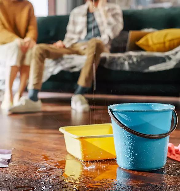 Trusted Water Remediation Company in Heritage, VA